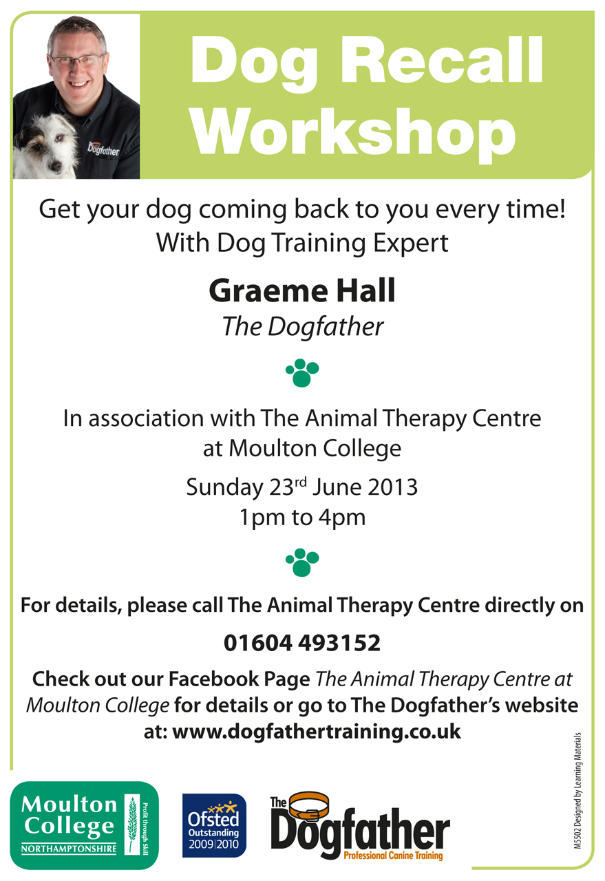 Dogfather Dog Training Dogfather Dog Training