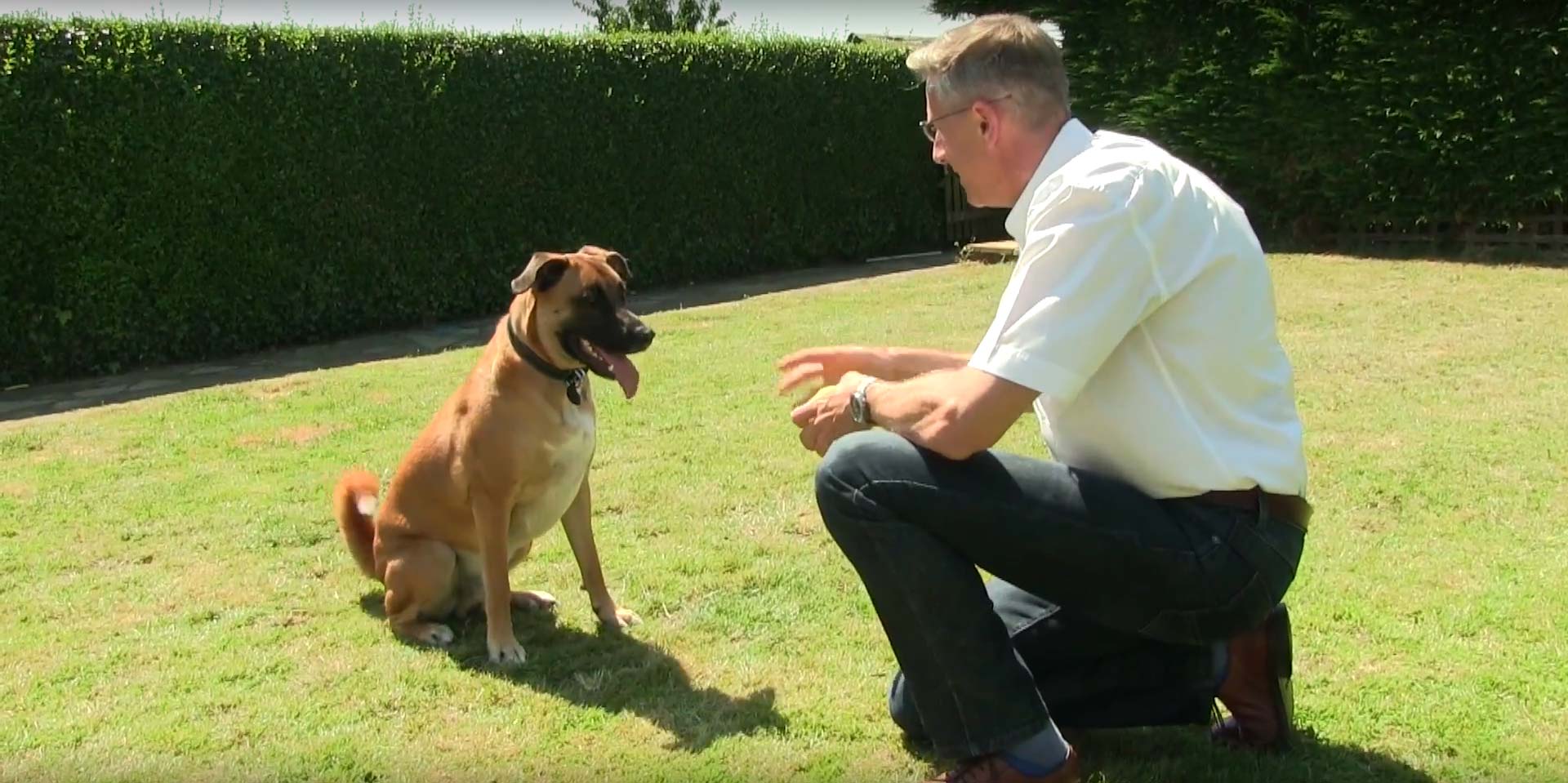 "Britain's best dog trainer" The Telegraph The Dogfather